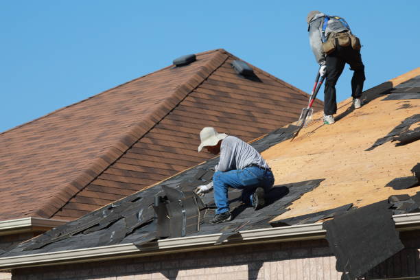 Best Sheet Metal Roofing  in Raymond, WI